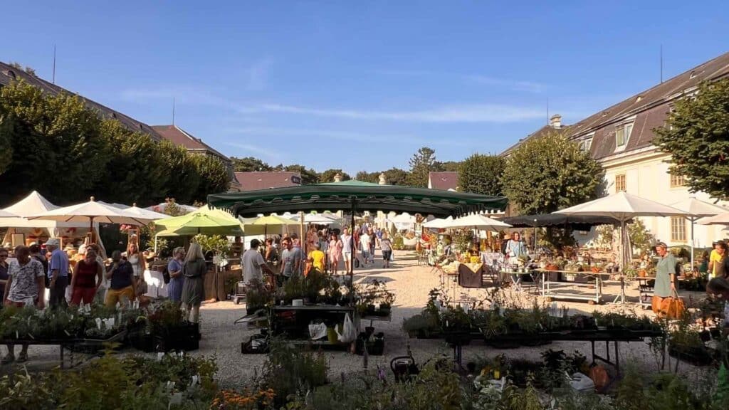 Marktszene im Freien mit Menschen, die zwischen Pflanzen- und Blumenständen umhergehen. Weiße Sonnenschirme spenden Schatten, und Bäume und Gebäude umgeben den Bereich unter einem klaren blauen Himmel.